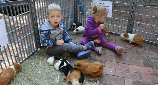 kids care 